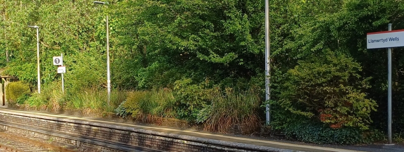 Llanwrtyd Wells Railway Station