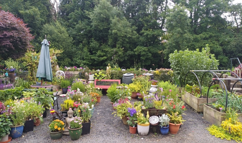 Kim’s Garden
