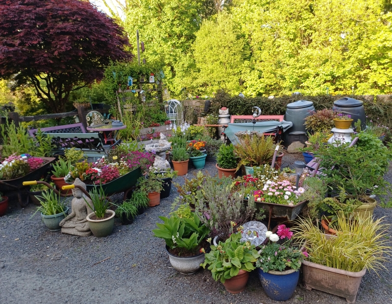 Kim’s Garden