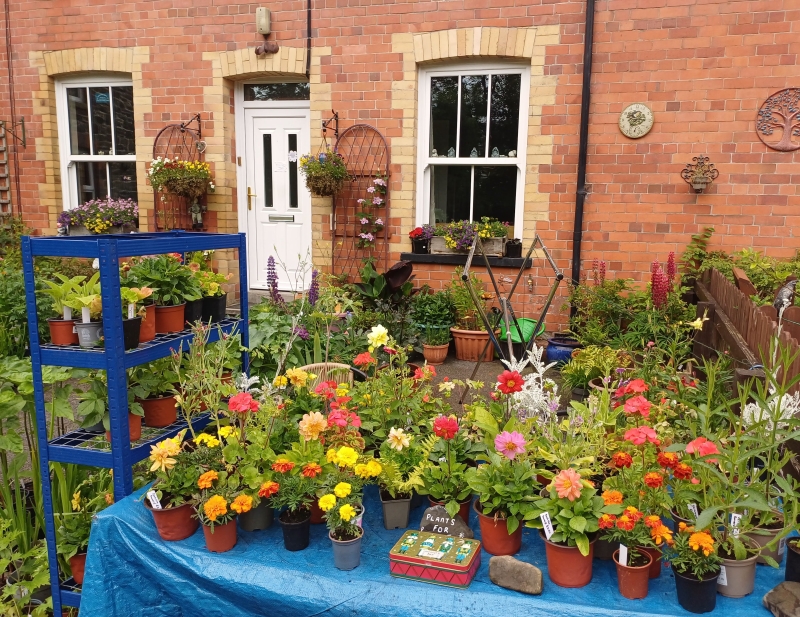 Kim’s Garden