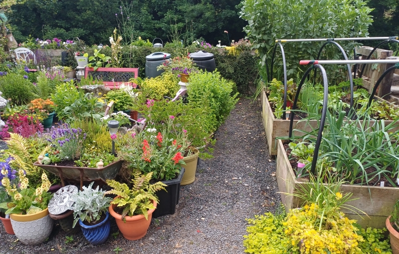 Kim’s Garden