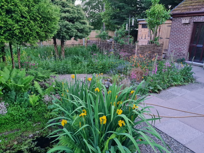 Siskin Lodge Wildlife Garden