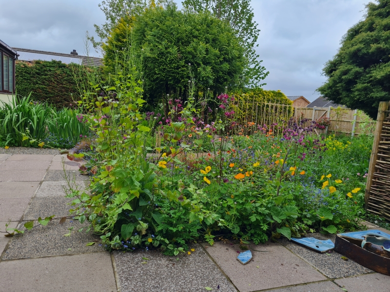 Siskin Lodge Wildlife Garden