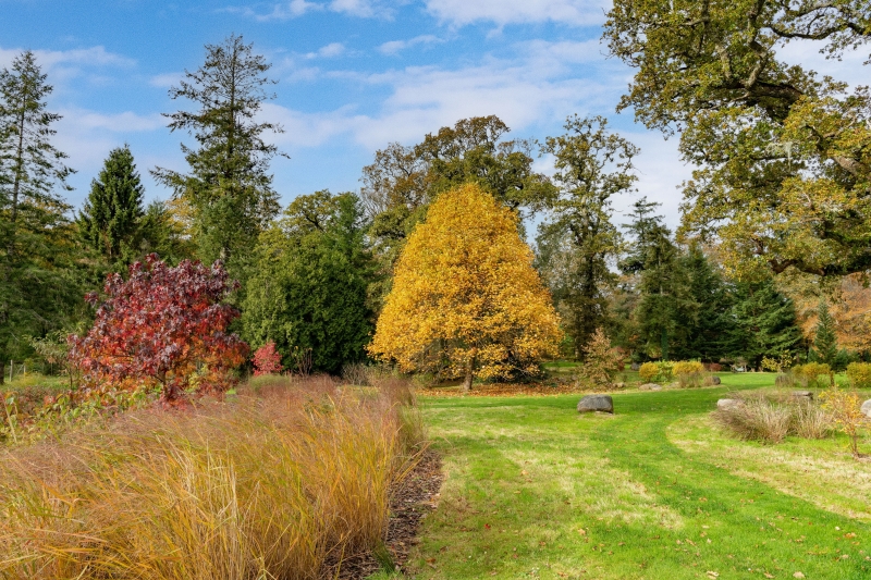 Trebartha Estate Garden and Lemarne Garden