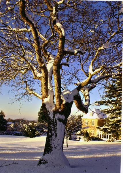 Conderton Manor image