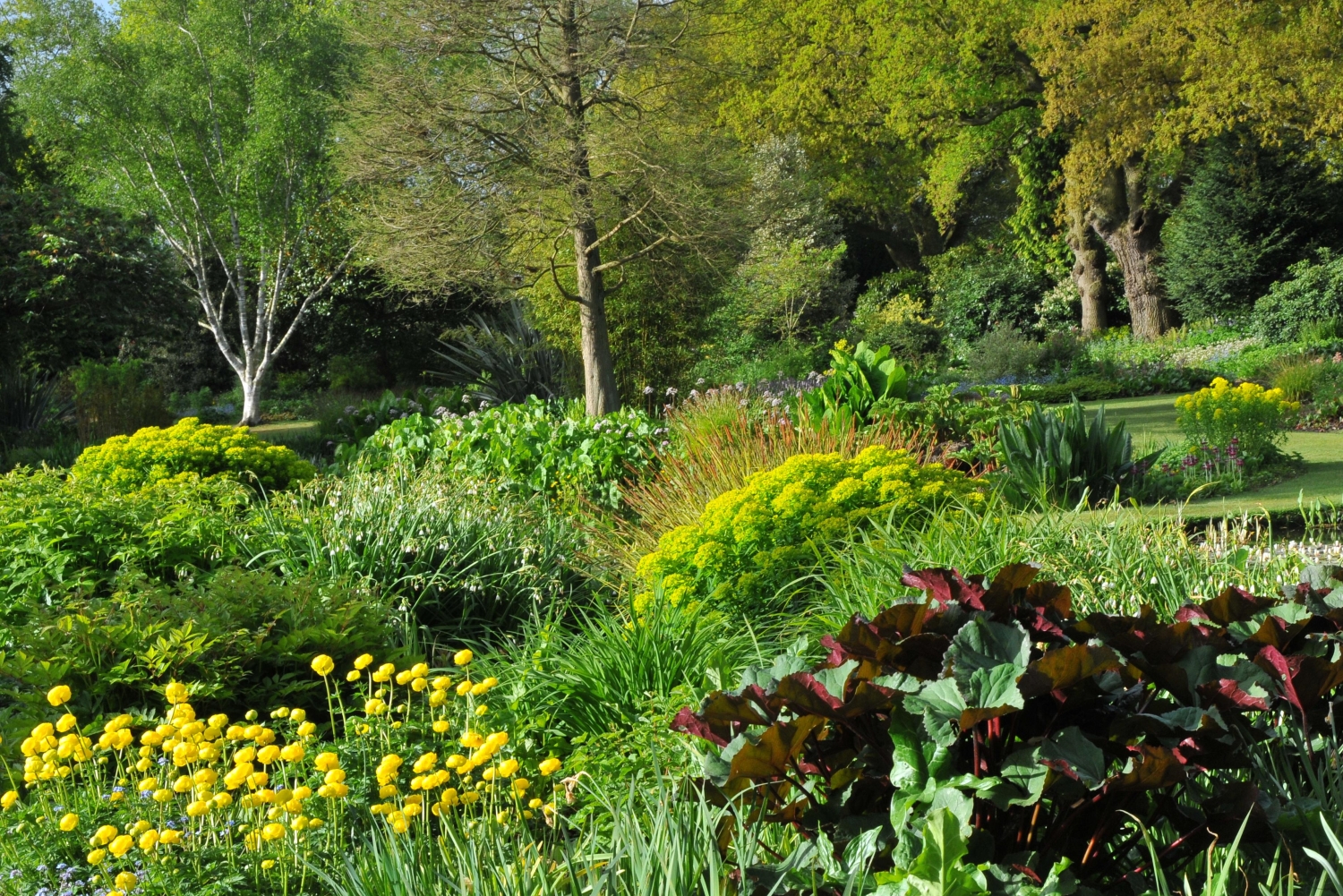 The Beth Chatto Gardens, Colchester, Essex, CO7 7DB - National Garden ...