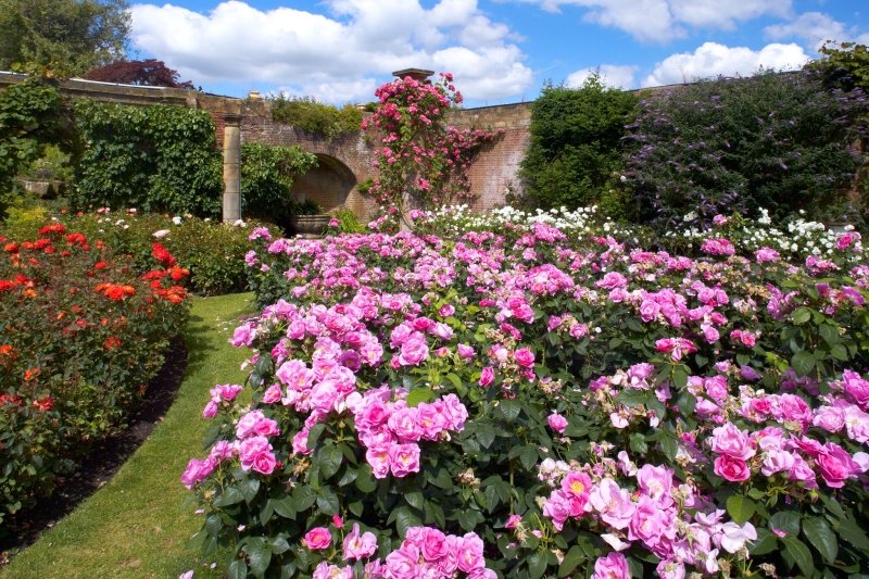 Hever Castle & Gardens