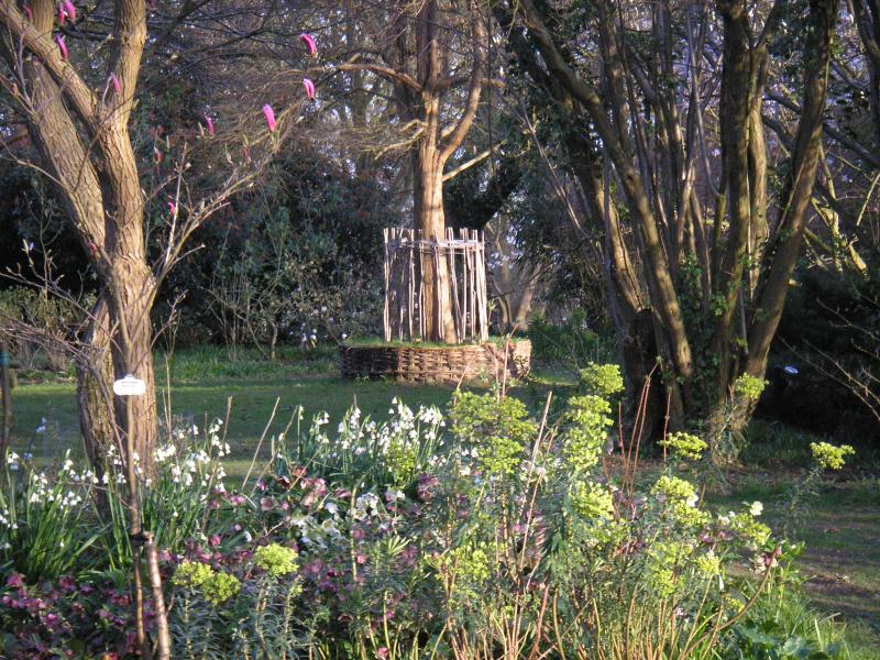 Blakenham Woodland Garden