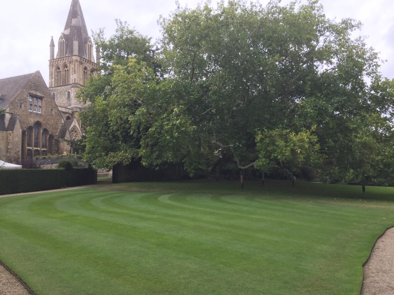 Christ Church Masters, Pococke & Cathedral Gardens