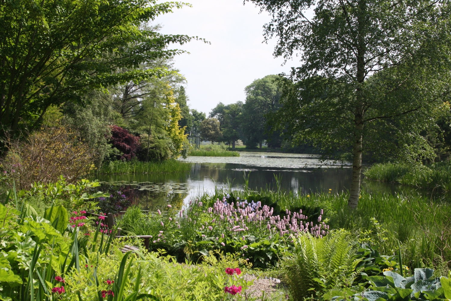 Glansevern Hall Gardens, Welshpool, Powys, SY21 8AH - National Garden Scheme