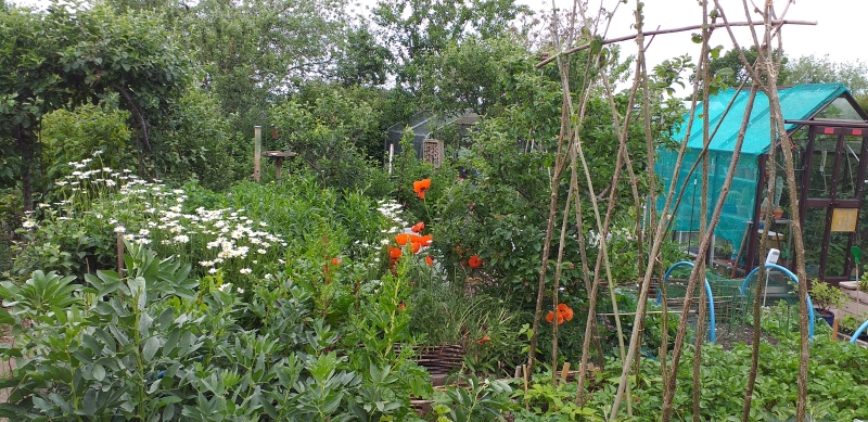 Stottesdon Village Open Gardens