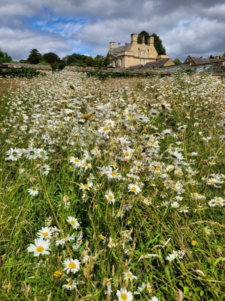 Bourton House Garden